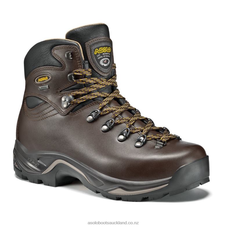 Chesnut Asolo TPS 520 GV evo Men 464D466