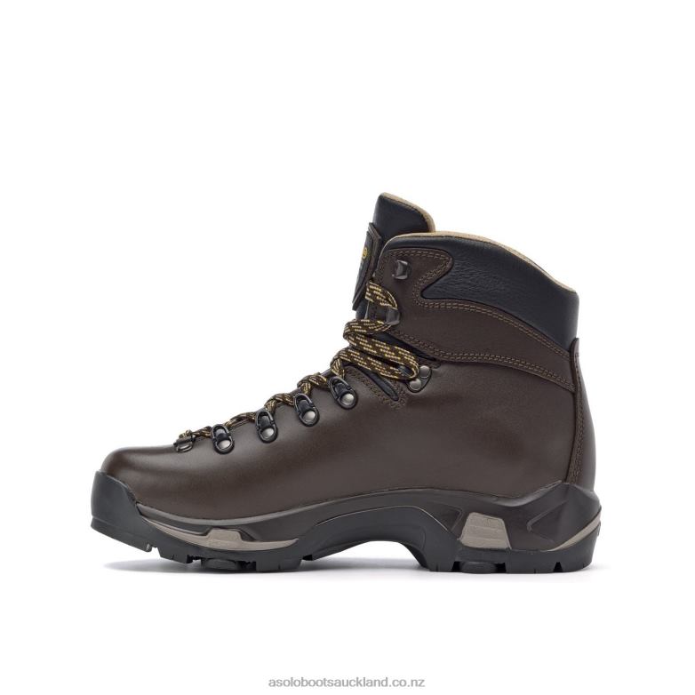 Chesnut Asolo TPS 520 GV evo Men 464D466