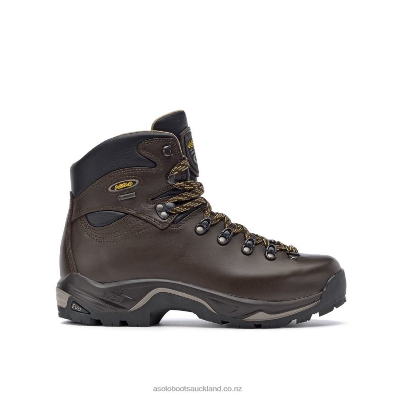 Chesnut Asolo TPS 520 GV evo Men 464D467
