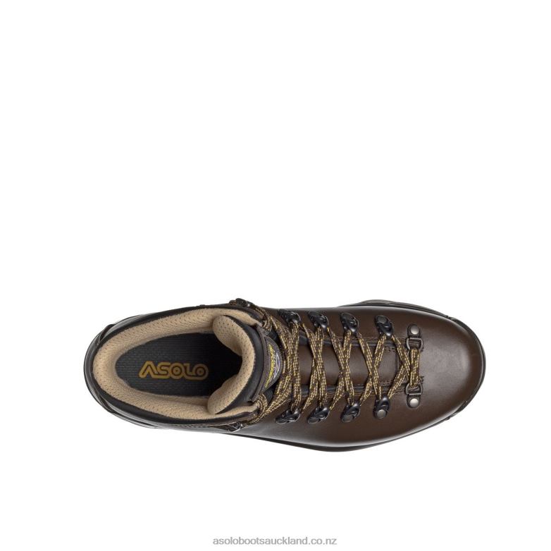 Chesnut Asolo TPS 520 GV evo Men 464D467