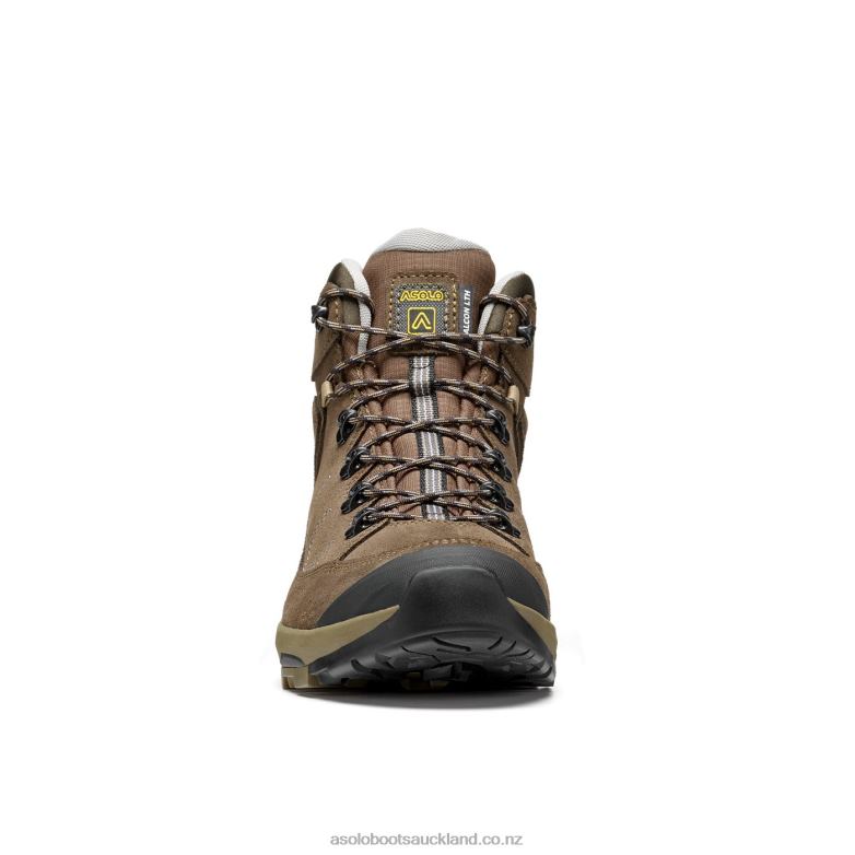 Dark Brown Asolo FALCON EVO LTH GV Men 464D4109