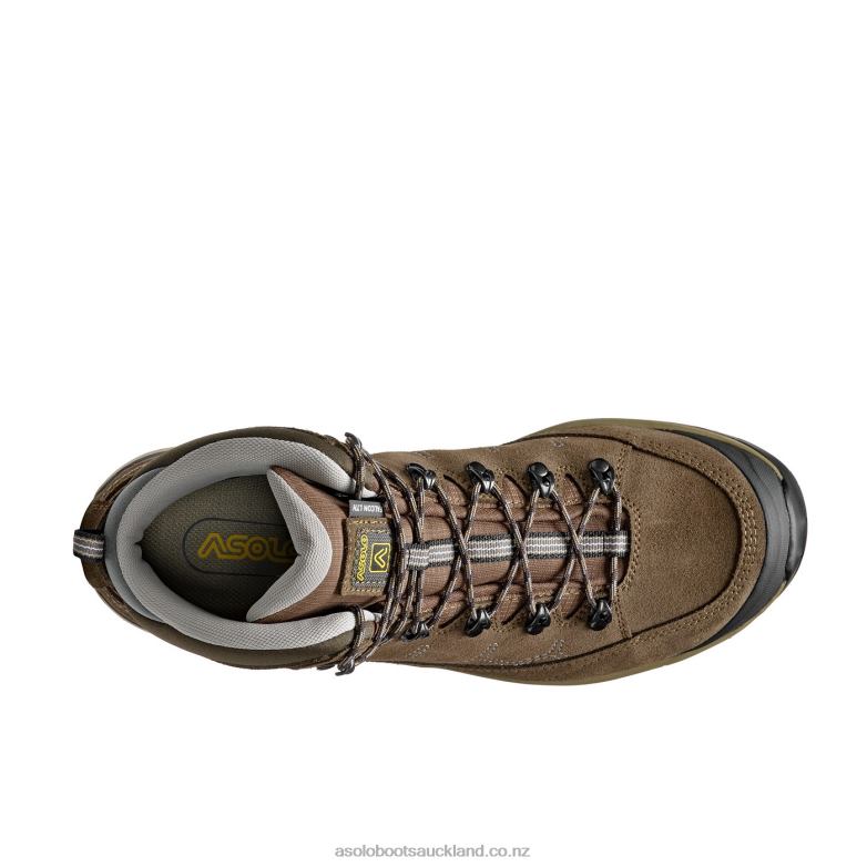 Dark Brown Asolo FALCON EVO LTH GV Men 464D4109