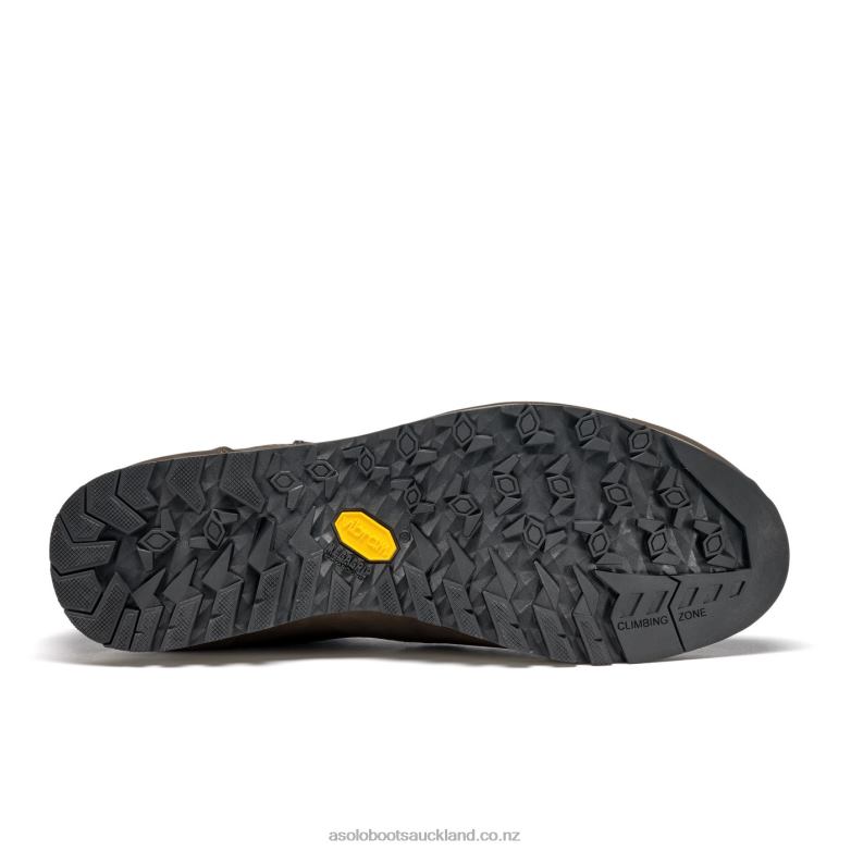 Dark Brown Asolo FIELD GV Men 464D492