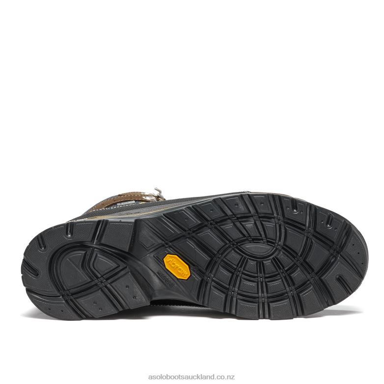 Dark Brown/Brown Asolo DRIFTER I GV EVO Men 464D482