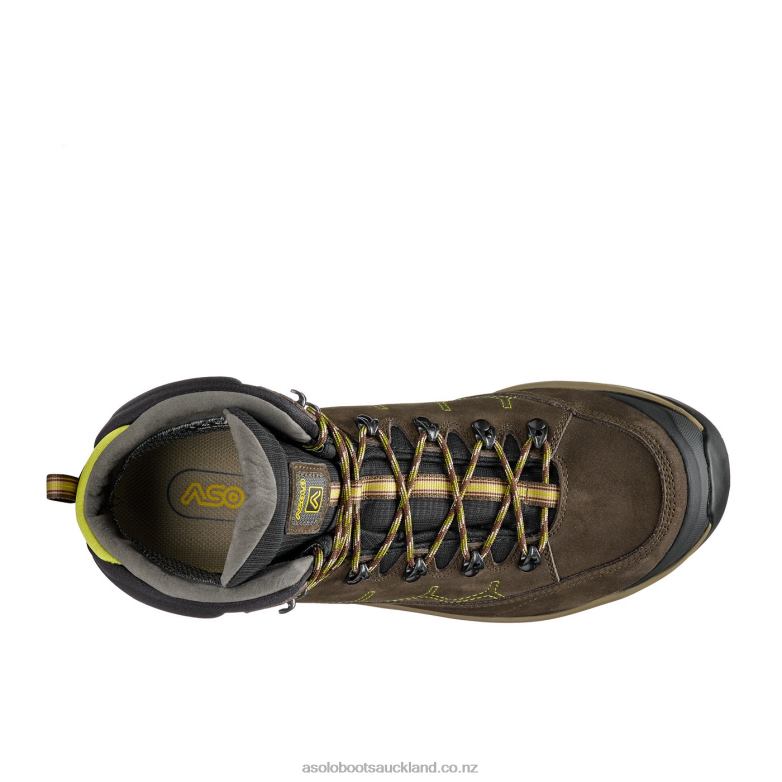 Dark Brown/Lime Asolo FALCON EVO NBK GV Men 464D4108