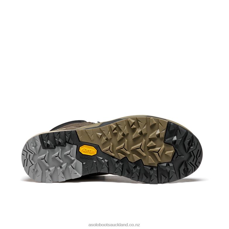 Dark Brown/Rose Taupe Asolo FALCON EVO NBK GV Women 464D4140