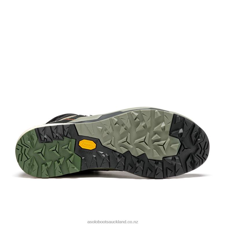 Dry Weeds/Trance Buzz Asolo FALCON EVO GV Men 464D4180