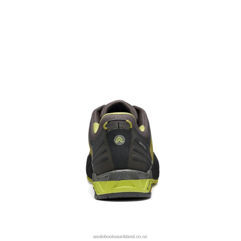 Green Oasis/Smokey Green Asolo ELDO GV Men 464D462