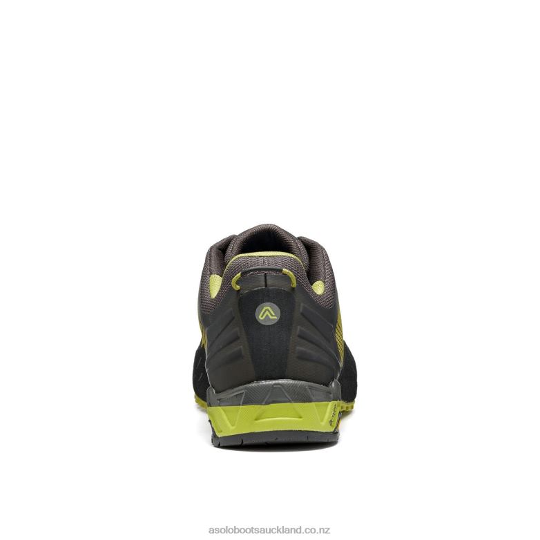 Green Oasis/Smokey Green Asolo ELDO Men 464D465