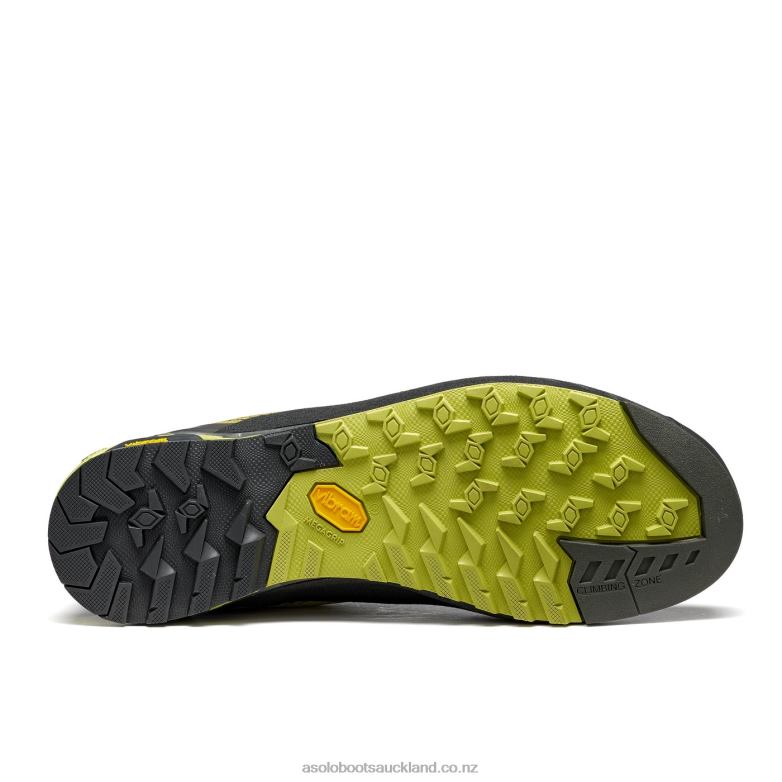 Green Oasis/Smokey Green Asolo ELDO Men 464D465