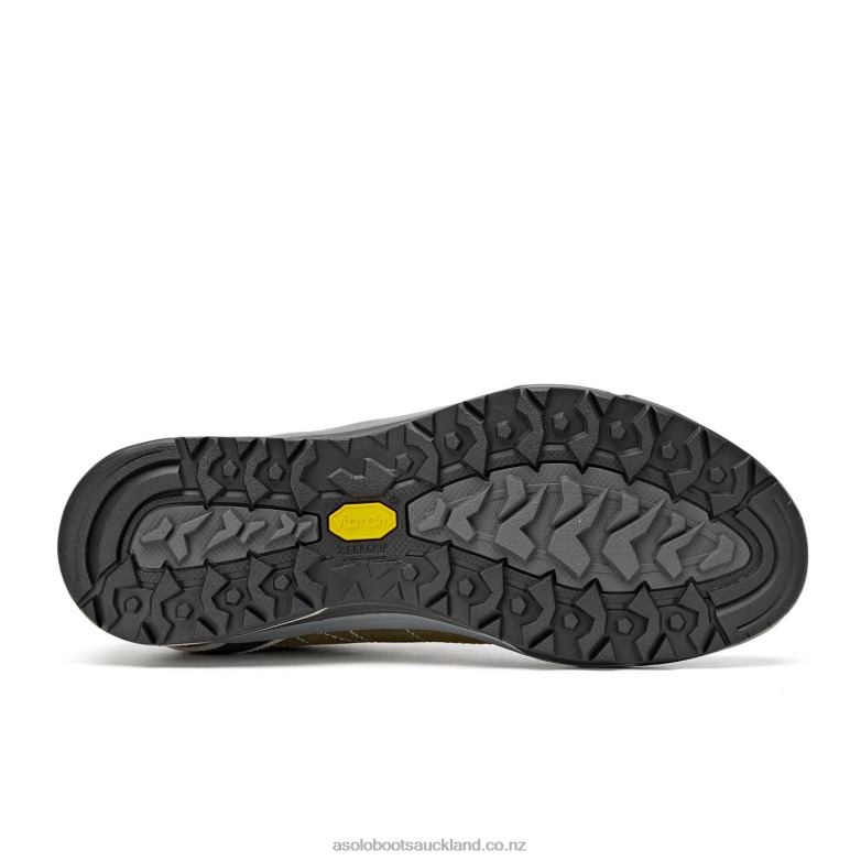 Truffle/Silver Asolo NUCLEON GV Men 464D486