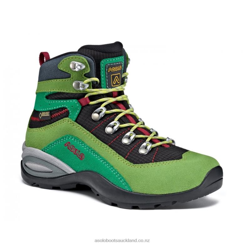 Lime/Black Asolo ENFORCE GTX Men 464D4116