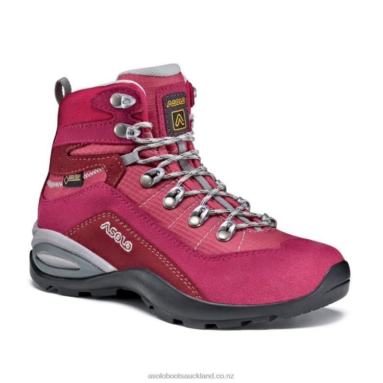 Redbud/Blood Asolo ENFORCE GTX Men 464D4115