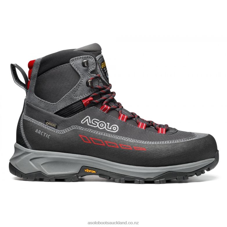 Grey/Gunmetal/Red Asolo ARCTIC GV Men 464D475